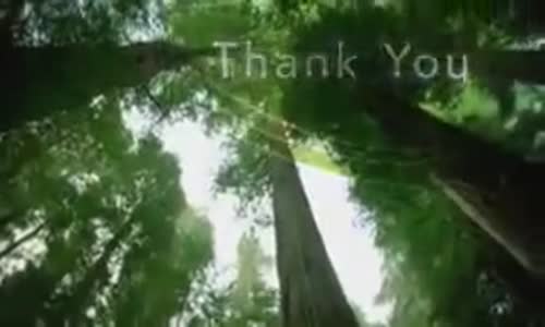 A night of hope Yankee stadium Joel osteen