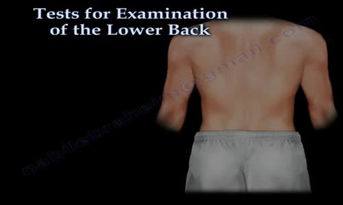 Tests For Examination Of The Lower Back Everything You Need To Know Dr ...