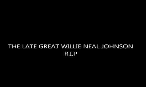 Willie Nelson visual data 5