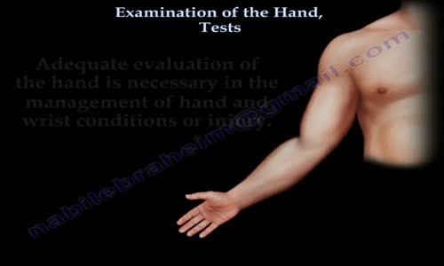 Examination Of The Hand, Tests Everything You Need To Know Dr. Nabil ...