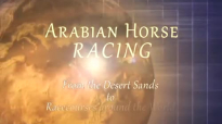 Arabian Horse Racing Documentary _ From Desert Sands to Racecourses Around the W.mp4