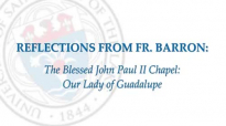 Mundelein Seminary Presents_ Fr. Barron on Our Lady of Guadalupe.flv