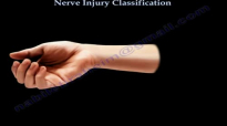 Nerve Injury ,types . Nerve recovery  Everything You Need To Know  Dr. Nabil Ebraheim