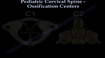 Pediatric Cervical Spine Ossification Centers  Everything You Need To Know  Dr. Nabil Ebraheim