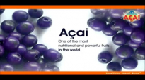 The Acai Berry  Superfood Health Benefits