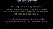Nerve injury of the upper extremity  Everything You Need To Know  Dr. Nabil Ebraheim