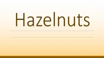Hazelnuts Health Benefits  Super Seeds and Nuts  Health Benefits of Hazelnuts