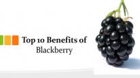 Top 10 Benefits of Blackberry  Blackberry Health Benefits
