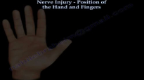 Nerve Injury, Positions Of The Hand  Everything You Need To Know  Dr. Nabil Ebraheim