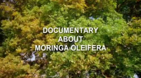 Moringa Oleifera  Documentary about Moringa Superfood