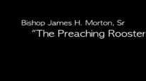 Bishop James Morton  The Preaching Rooster