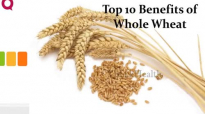 Top 10 Benefits of Whole Wheat  Whole Wheat Benefits  HEALTH TV