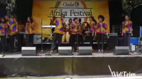 2014 african festival part 2