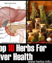 Benefits of herbs-Liver Purifier