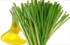 Lemongrass Oil Health Benefits  the Hair,Skin, and Side Effects of Lemongrass Oil