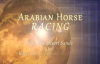 Arabian Horse Racing Documentary _ From Desert Sands to Racecourses Around the W.mp4