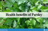 Health benefits of Parsley