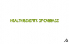 Health Benefits of Cabbage  Best Health and Beauty Tips  Education