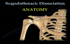 Scapulothoracic Dissociation  Everything You Need To Know  Dr. Nabil Ebraheim
