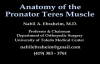 Anatomy Of The Pronator Teres Muscle  Everything You Need To Know  Dr. Nabil Ebraheim