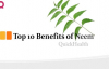 Top 10 Benefits of neem  Neem Benefits  Health