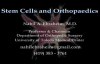 Stem Cells and Bone Healing  Everything You Need to Know  Dr. Nabil Ebraheim