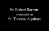 Fr. Robert Barron on St. Thomas Aquinas.flv