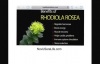 Powerful Adaptogenic Herb Rhodiola Rosea Health Benefits