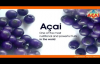 The Acai Berry  Superfood Health Benefits