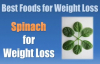 Spinach Weight Loss  Best Foods for Weight Loss  Spinach for Weight Loss
