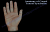 Anatomy of Carpal Tunnel Syndrome  Everything You Need To Know  Dr. Nabil Ebraheim