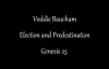Predestination and Election _Voddie Baucham_.mp4