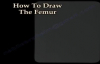 The Femur, how to draw it Everything You Need To Know  Dr. Nabil Ebraheim