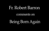 Fr. Robert Barron on Being Born Again.flv