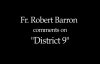 Fr. Robert Barron on District 9.flv