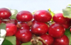 Cherries health benefits. Healthy life