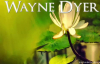 Wayne Dyer - Control Your Ego.mp4