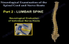 Neurological Examination Spinal Cord Part 2  Everything You Need To Know  Dr. Nabil Ebraheim