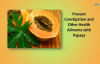Prevent Constipation and Other Health Ailments with Papaya  Papaya Health Benefits