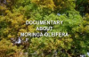 Moringa Oleifera  Documentary about Moringa Superfood