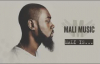 New Mali Music Mali Is FULL ALBUM.flv