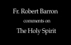 Fr. Robert Barron on The Holy Spirit.flv