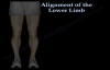 Alignment Of The Lower Limb  Everything You Need To Know  Dr. Nabil Ebraheim