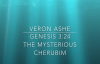 Veron Ashe- Preaches on Genesis 3_24- The Mysterious Cherubim (1).mp4