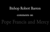 Bishop Barron on Pope Francis and Mercy.flv