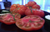 Tomato benefits properties. Medical study tomato consumption. Tomato lycopene