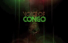 VOC- Alain Moloto parle du Congo avant sa mort .@VoiceOfCongo.flv