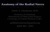 Anatomy Of The Radial Nerve  Everything You Need To Know  Dr. Nabil Ebraheim