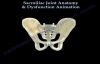 Sacroiliac Joint Dysfunction Anatomy, Animation  Everything You Need To Know  Dr. Nabil Ebraheim