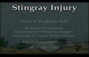 Stingray fish injury  Everything You Need To Know  Dr. Nabil Ebraheim